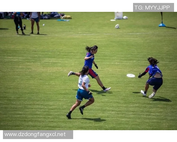 飞盘盛宴：深入了解成都飞盘队的团队精神与竞技意识